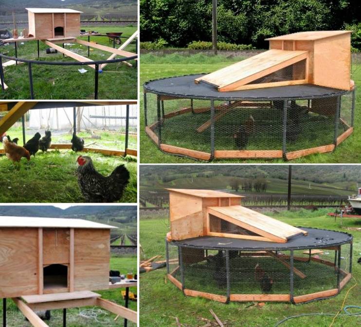 trampoline-chicken-coop3-wonderfuldiy