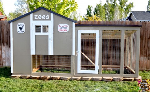 chickens 4 e1451617358647