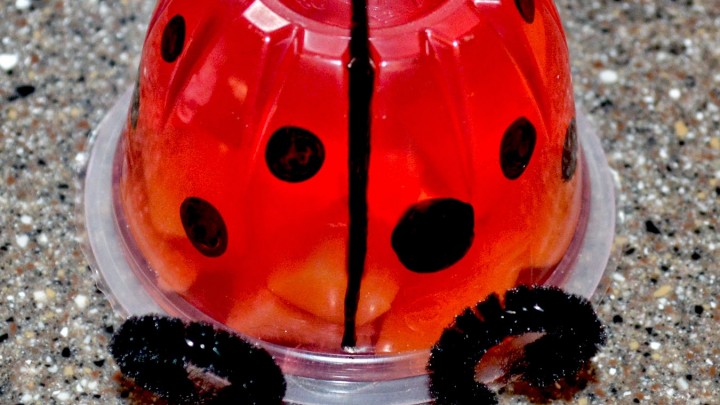 lady bug jello cup e1451617871325