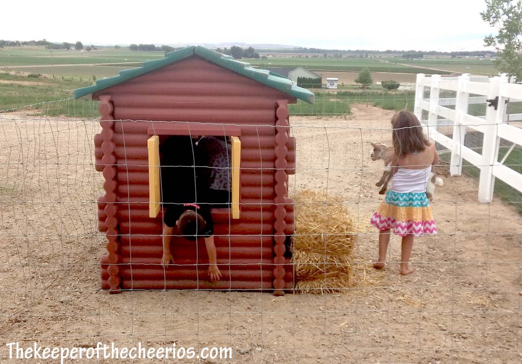 Playhouse Upcycled to Goat Shelter The Keeper of the Cheerios