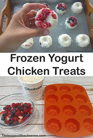 frozen yogurt chicken treat sm