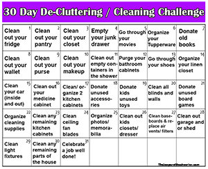 30 Day cleaning challenge smm