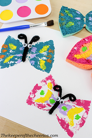 Butterfly Sponge Art smm