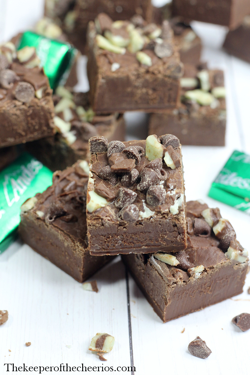 andes-mint-fudge-pn