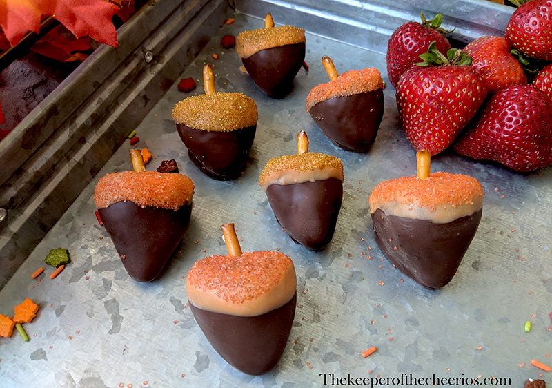 chocolate-covered-strawberry-acorns-3