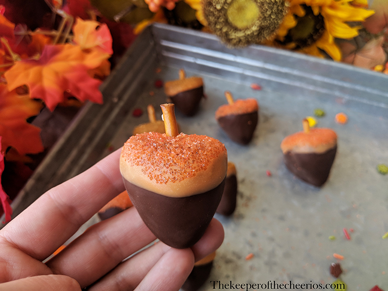 chocolate-covered-strawberry-acorns-4