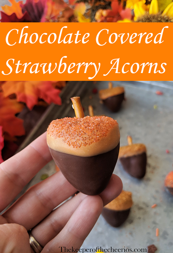 chocolate-covered-strawberry-acorns-pnn