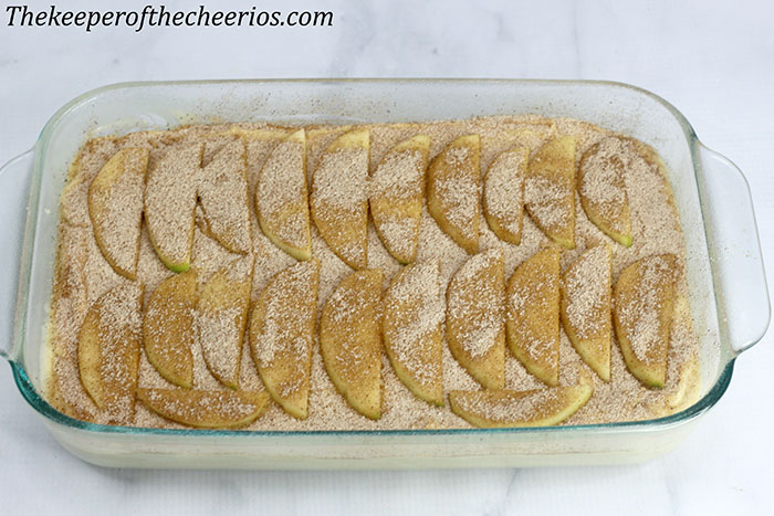 New-England-Apple-Cider-Cake2