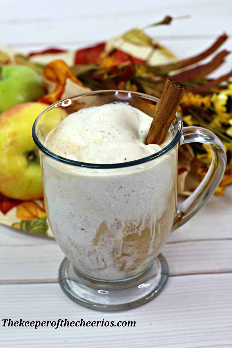 Apple-cider-float-3