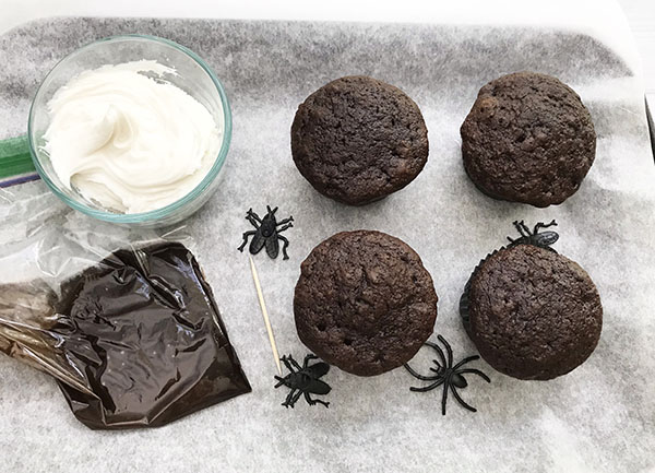 spider-web-cupcakes-1