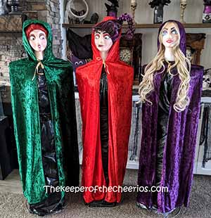 hocus-pocus-tomato-cage-witches-smm