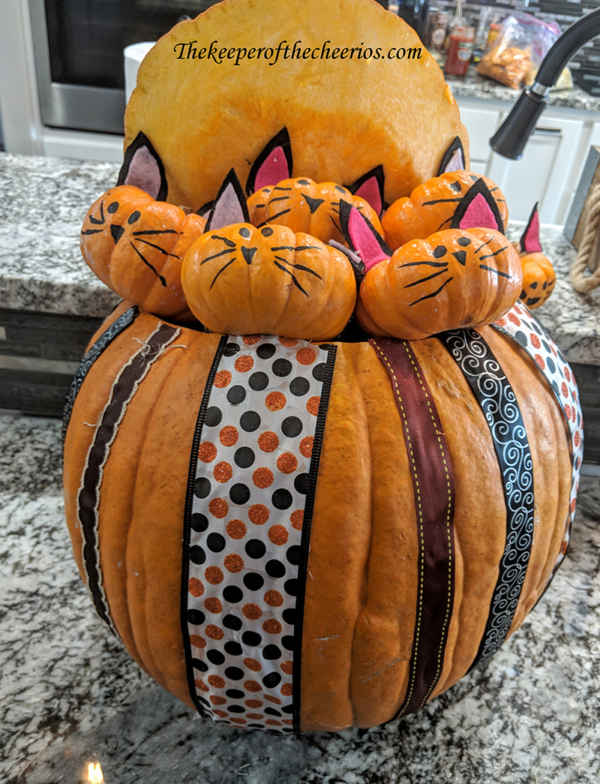 Kitty Pumpkin - The Keeper of the Cheerios