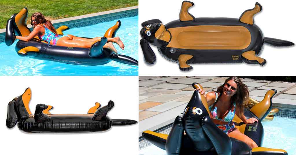 dachshund shaped pool float