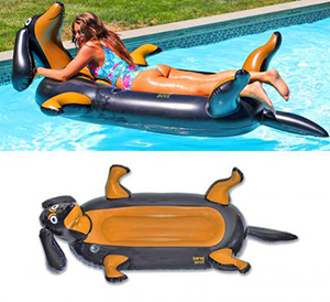 Dachshund Wiener Dog Pool Float The