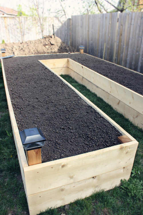 raised-garden-bed