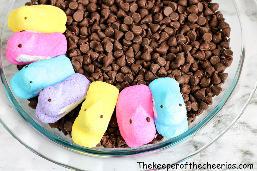 SMORES-PEEPS-DIP-9