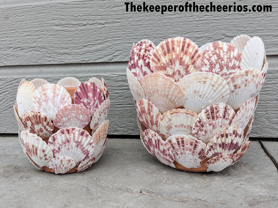 seashell-terracotta-pot-3