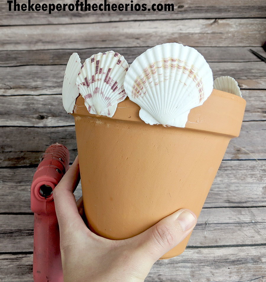 seashell-terracotta-pot-5