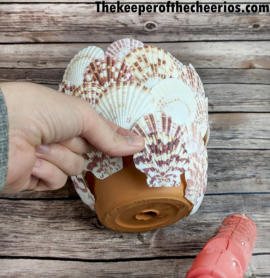 seashell-terracotta-pot-7