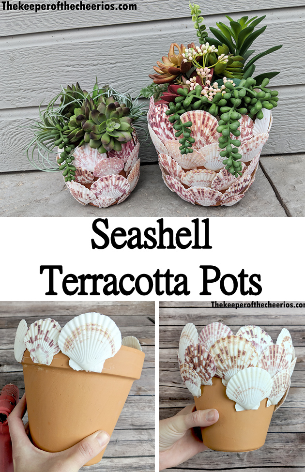 seashell-terracotta-pot-pnn