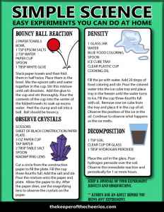 Simple Science Activities - The Keeper of the Cheerios