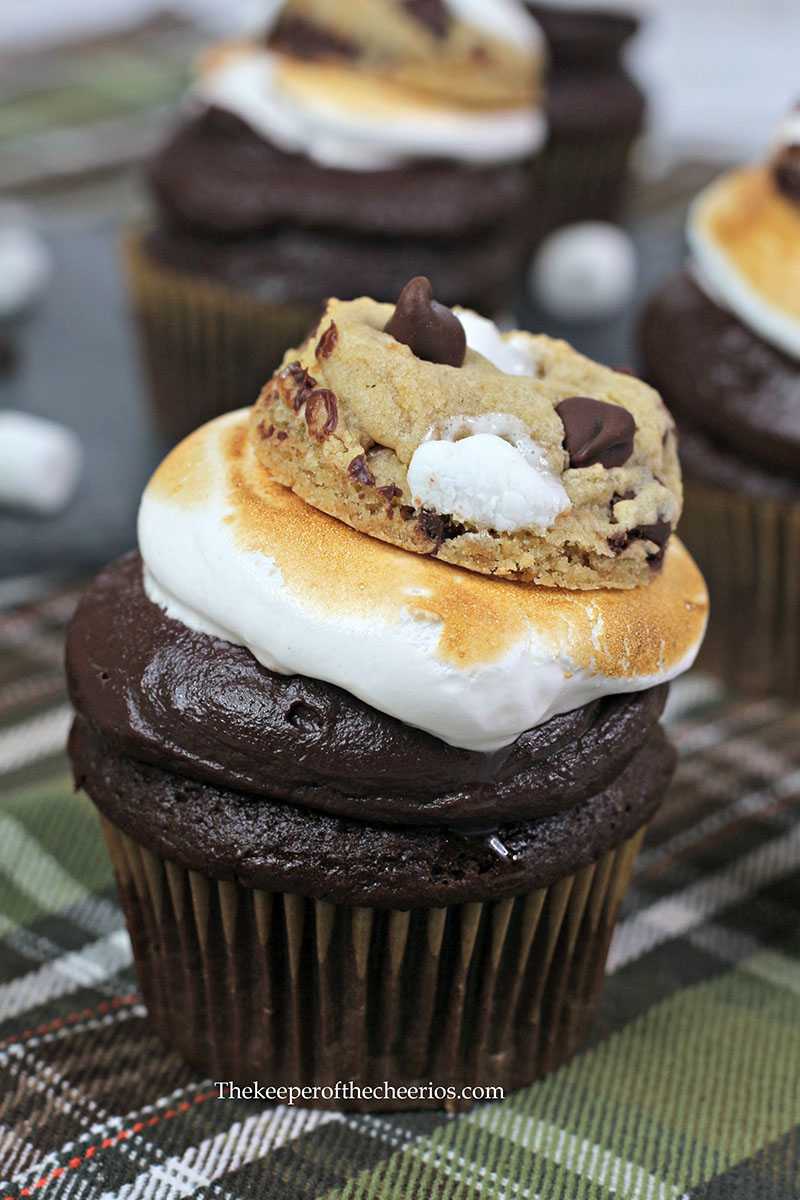 Choc-Chip-Smores-cupcake-2