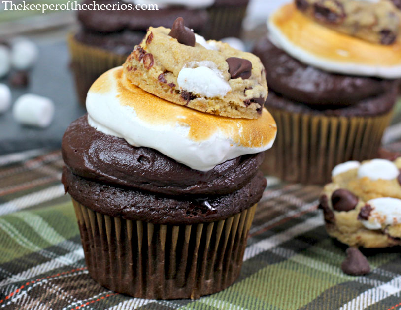 Chocolate-Chip-S’mores-Cupcakes-1