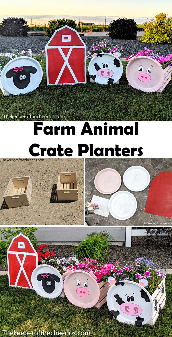 FARM-ANIMAL-CRATES-pnn