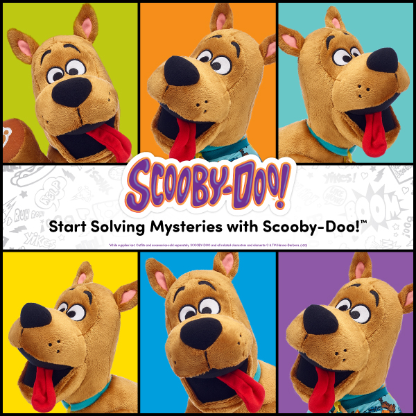 scoob-bear-1