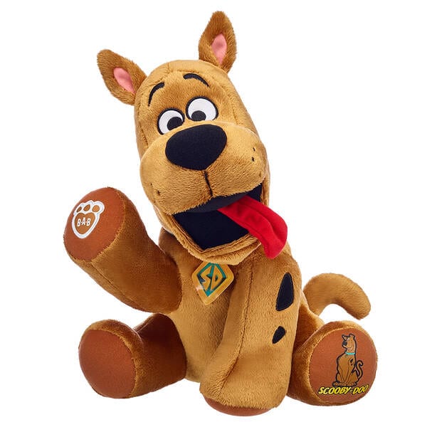 scoob-bear-2