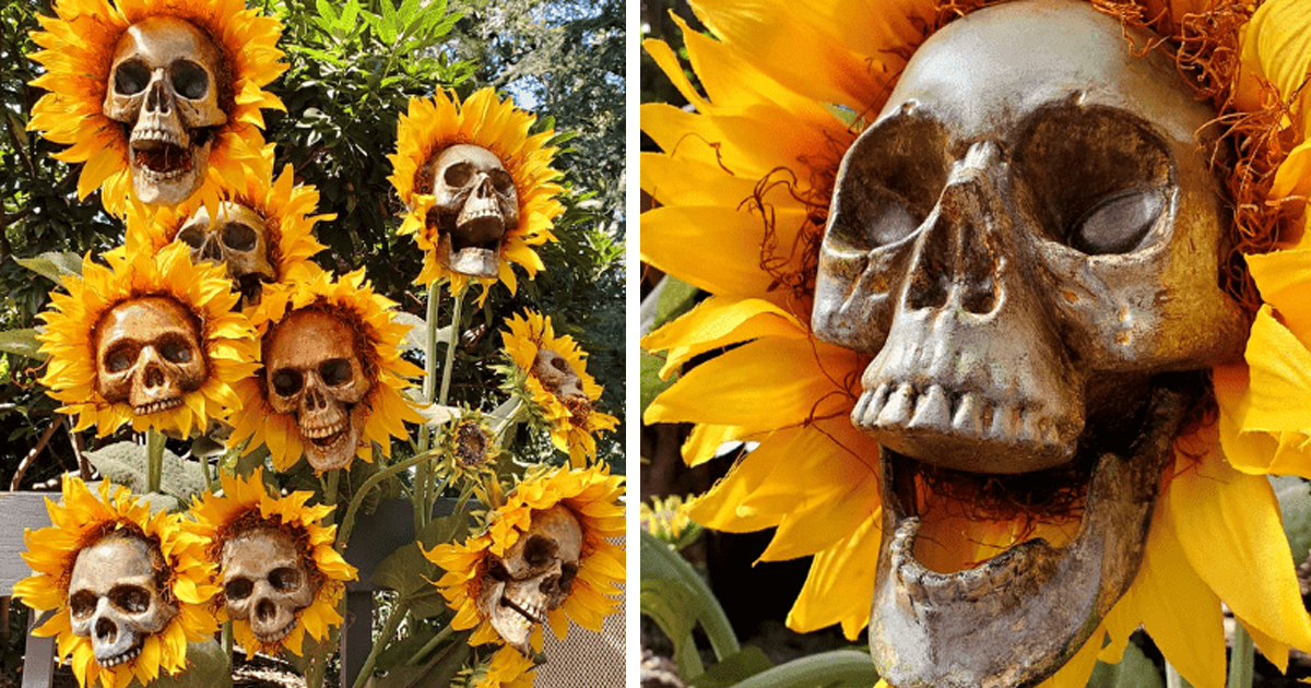 sunflower-skulls-fbbb