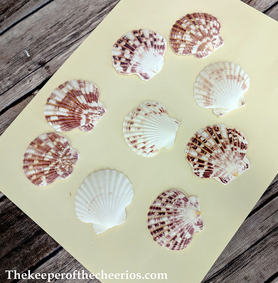 halloween-painted-sea-shells-6