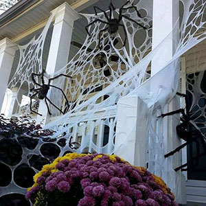 halloween-spiderwebs-beef-netting-smm