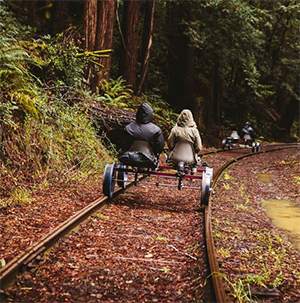 pedal-through-the-redwoods-smm