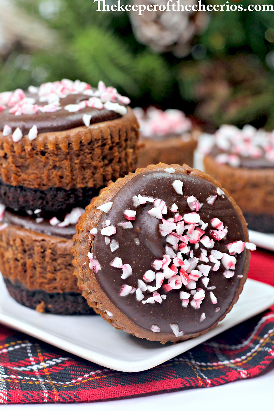 Chocolate-Peppermint-cheesecake-1