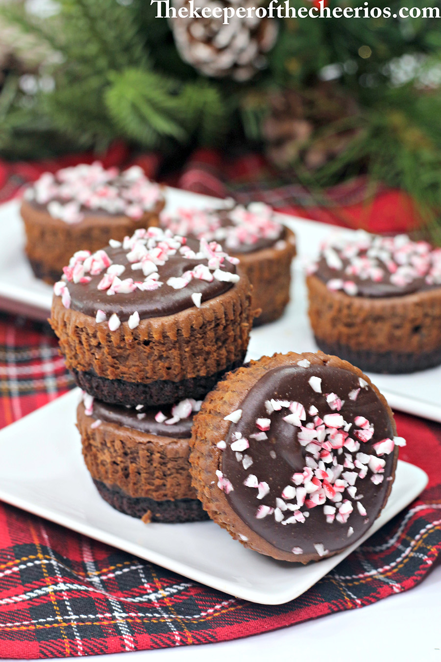 Chocolate-Peppermint-cheesecake-2