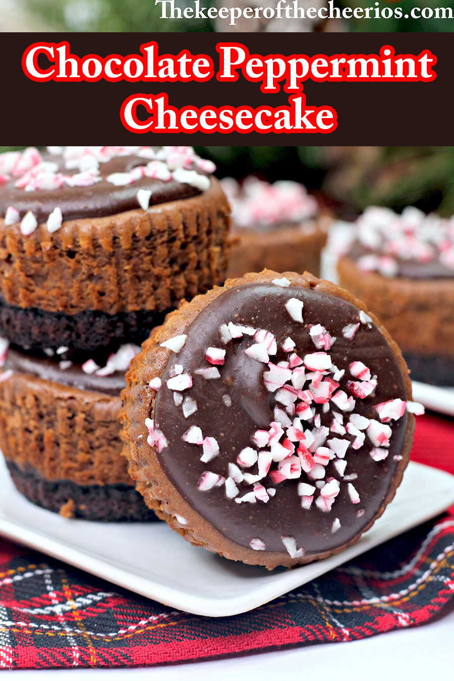 Chocolate-Peppermint-cheesecake-pnn