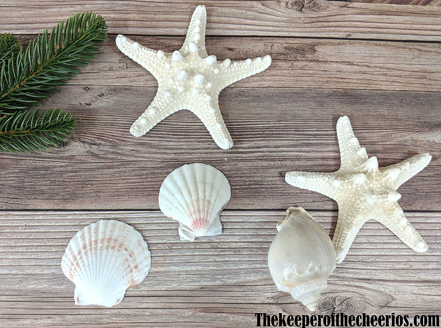 snowflake-starfish-ornaments-3