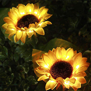 sunflower-lights-smm