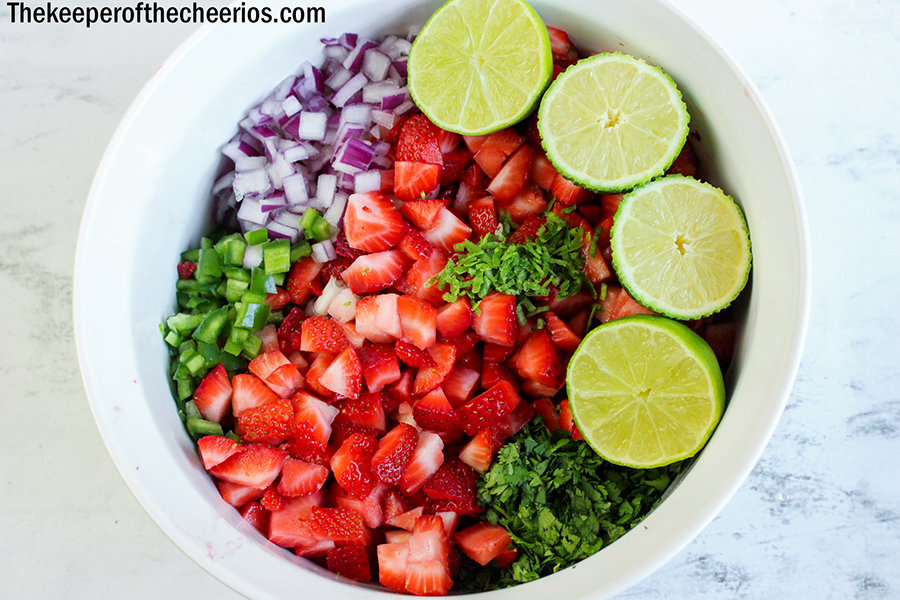 Strawberry-Salsa-2