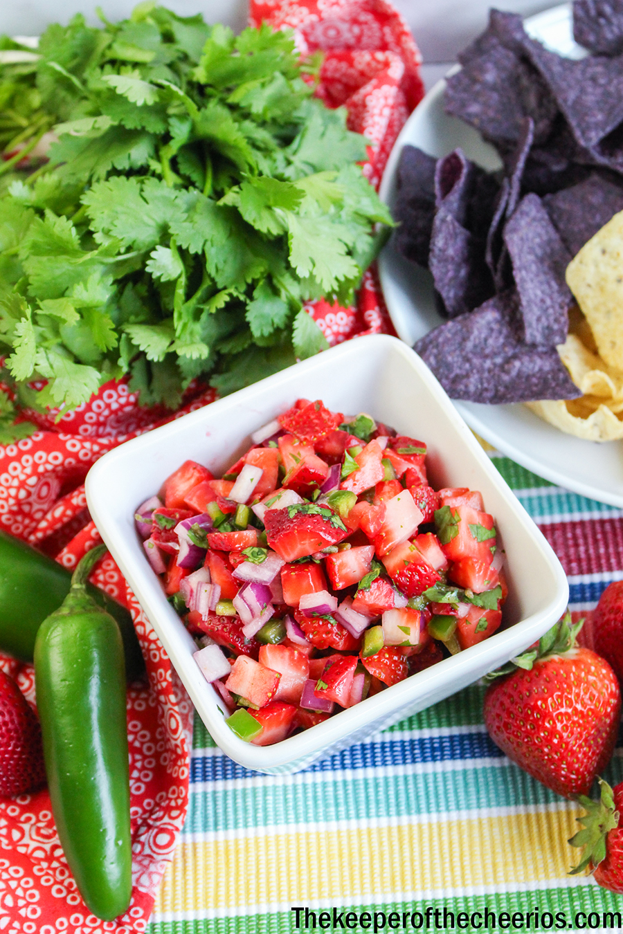 Strawberry-Salsa-4