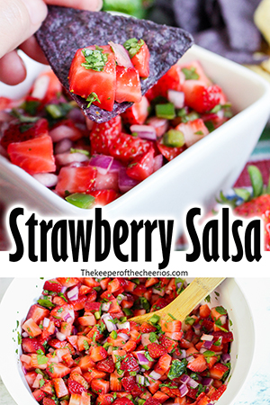 Strawberry-Salsa-Smm