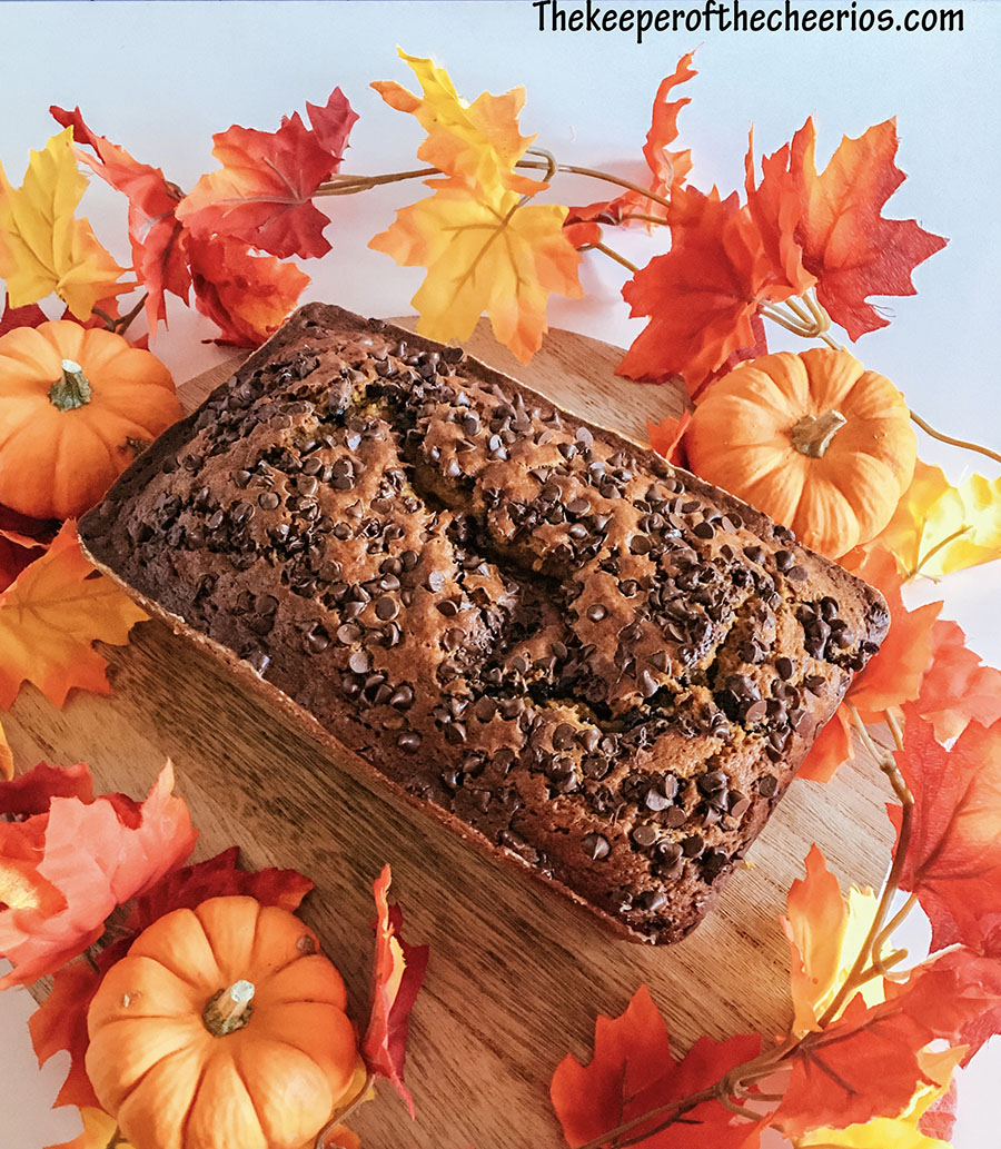 Pumpkin-Chocolate-Chip-Bread-3