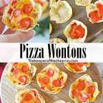 pizza-wontons-sm
