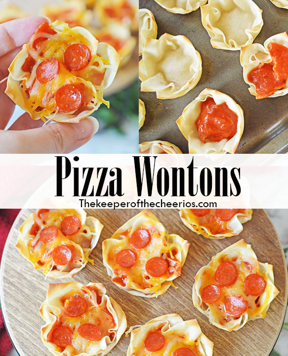 pizza-wontons