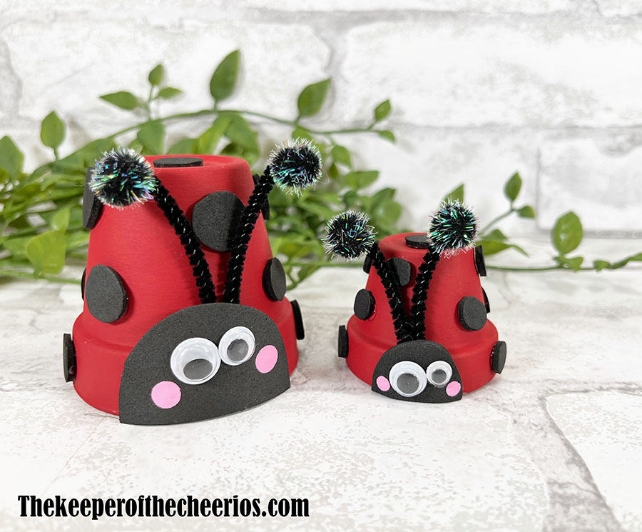 lady-bug-pots-4