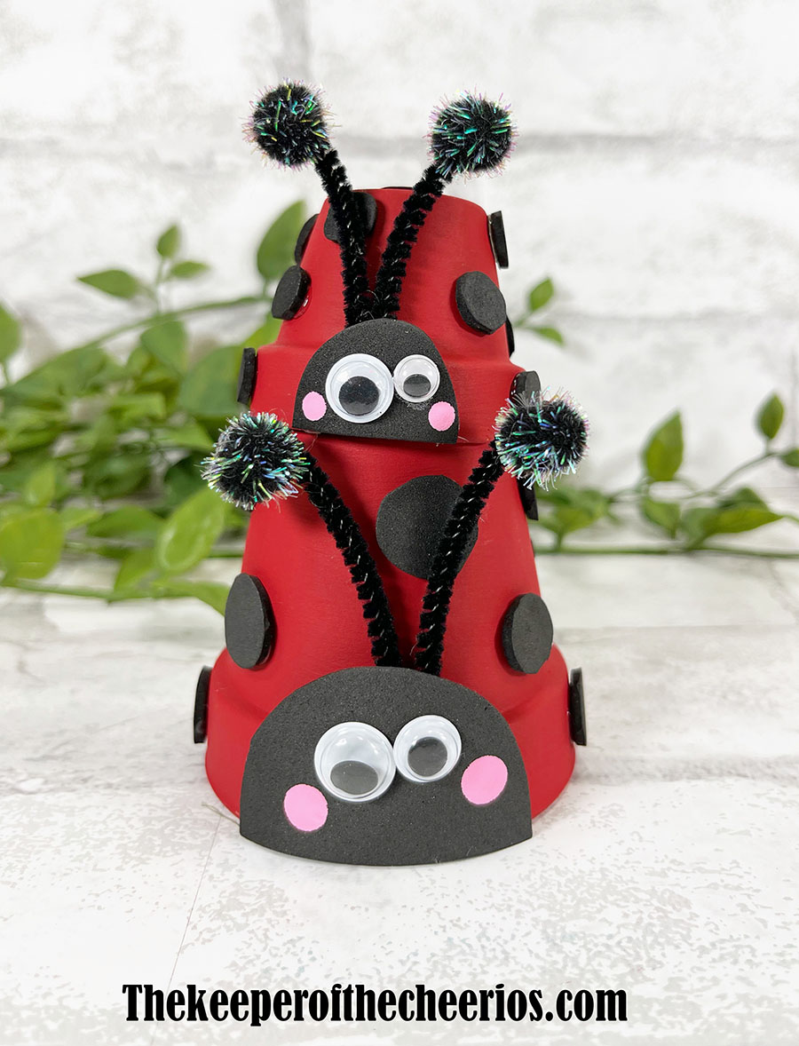 lady-bug-pots-5