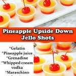 pineapple-upsidedown-shot-smm