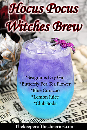 hocus-pocus-witch-brew-smm