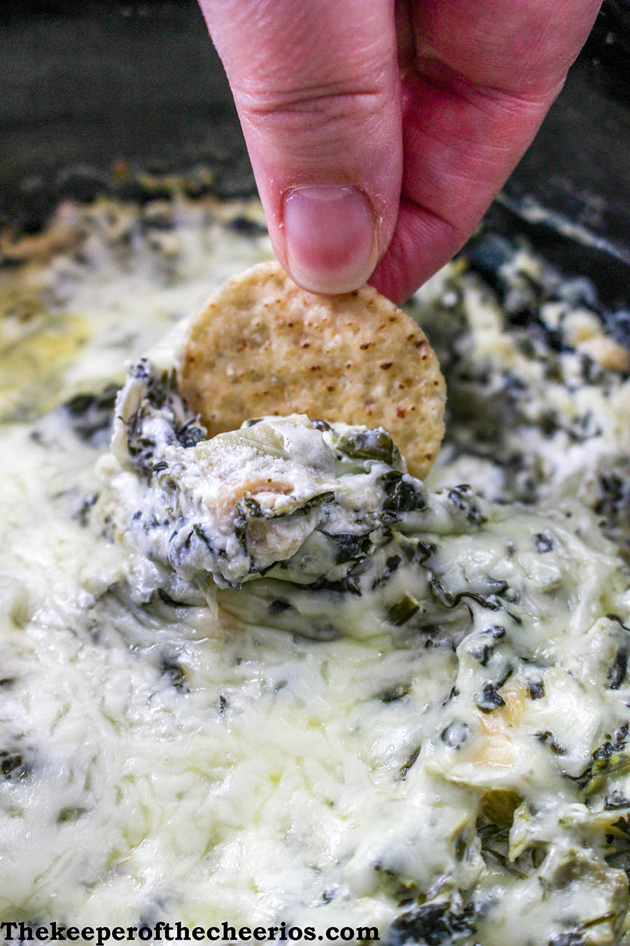 Slow-Cooker-Spinach-and-Artichoke-Dip-4